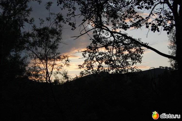 13 ����: ����� 2011