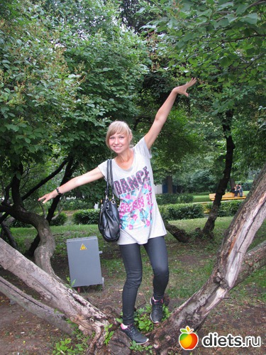 3 ����: �����. ��������.