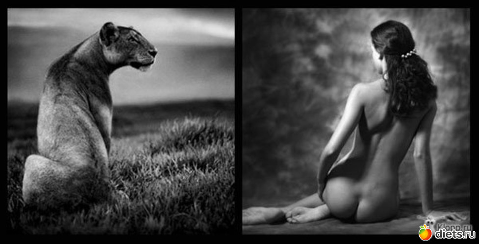 14 ����: �������