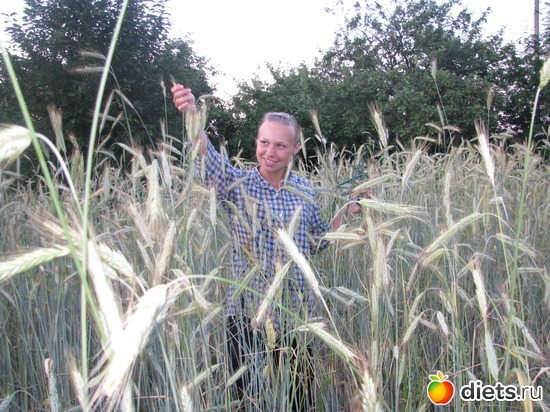 �⸸��), ������: �����. ��������.