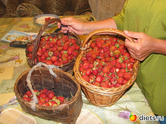 ��� ������� ��������!, ������: �����. ��������.