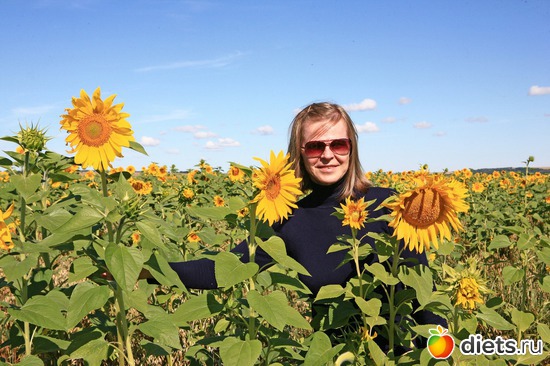 Я в подсолнухах, альбом: Путешествие в Казань