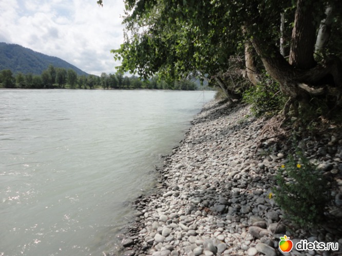 ������, ������: ����� 2011