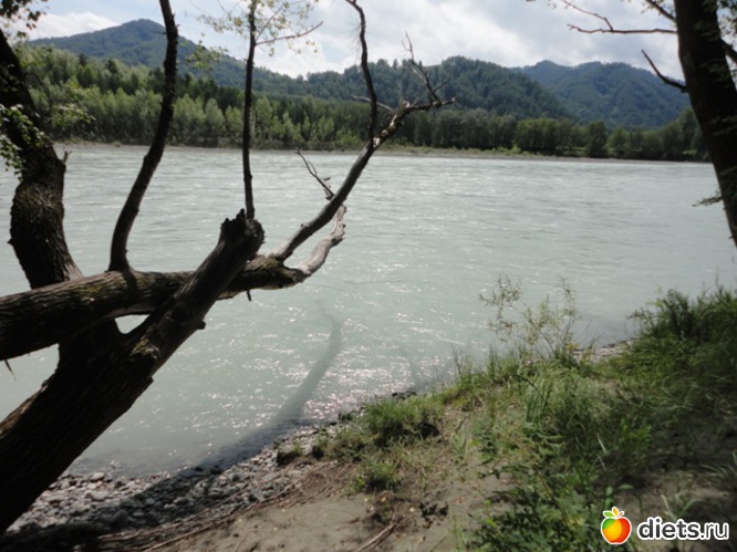 20 ����: ����� 2011