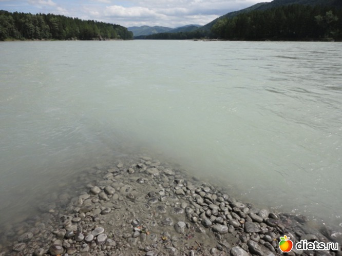 21 ����: ����� 2011