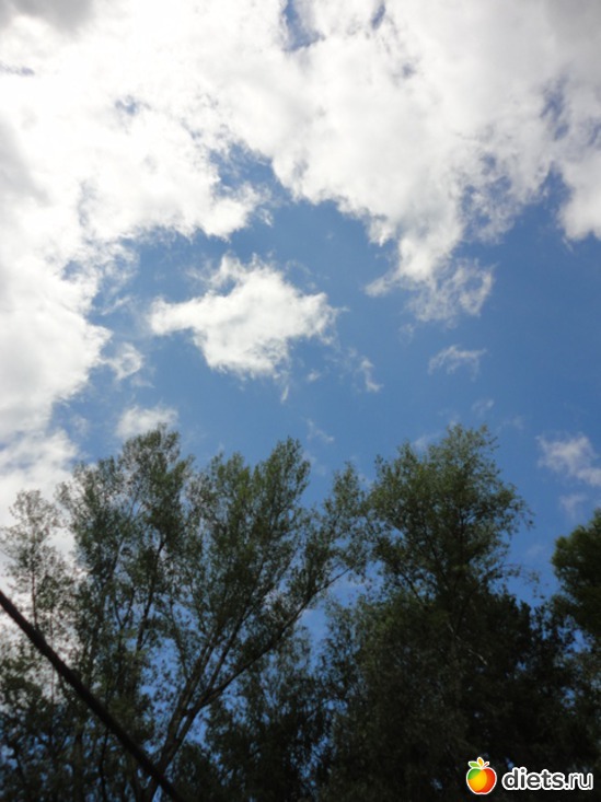 23 ����: ����� 2011