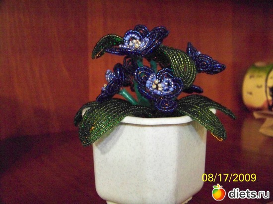 5 ����: ��� ������