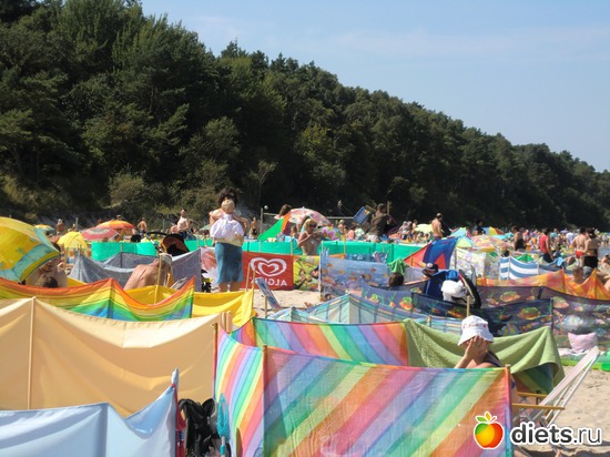 8 ����: ������