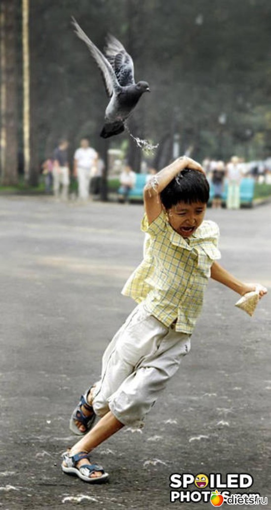 ������, ��� ������ �� ������..., ������: ����������!