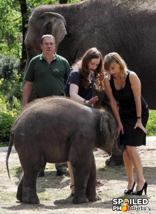 ������ ���������, ������: ����������!