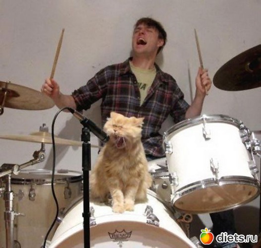 ����������, ������: ����������!