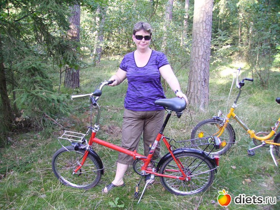 14 ����: ������