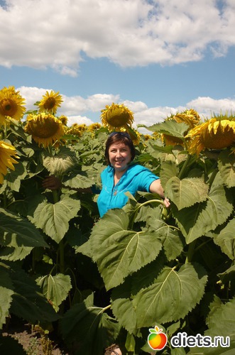 Подсолнухи – осколки солнечного дня. В подсолнухах любимый обнимал меня