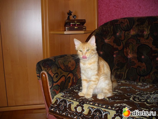 2 ����: ����