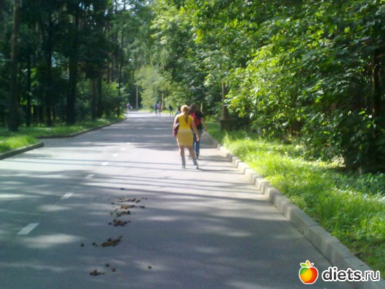 1 ����: ���������