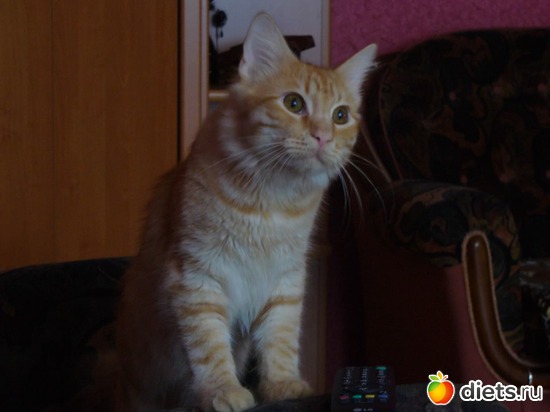 3 ����: ����