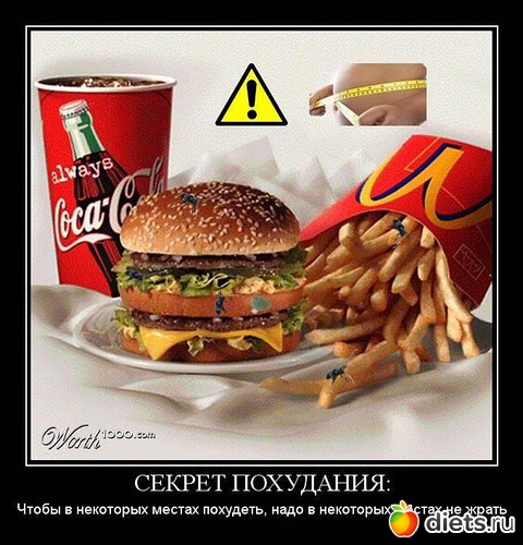 1 ����: ������������