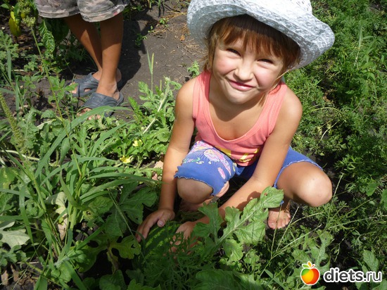 �� ����, ������: ��, ����  ������� !