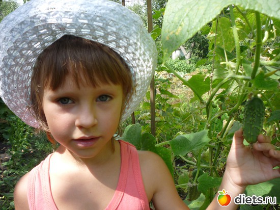 �� ����, ������: ��, ����  ������� !