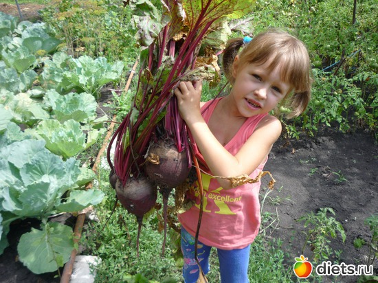 ��� ����� ������ !, ������: ��, ����  ������� !