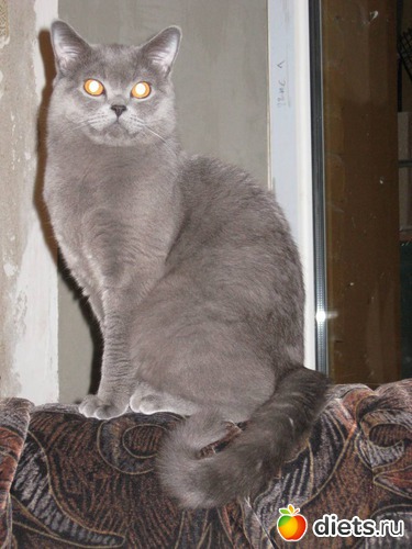 16 ����: ���������)))