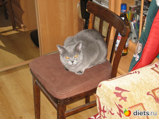 17 ����: ���������)))