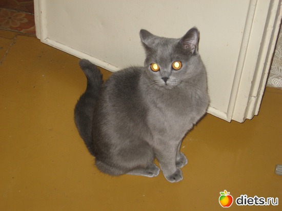 18 ����: ���������)))