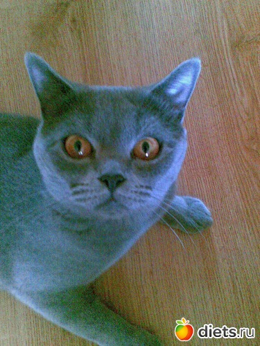 19 ����: ���������)))