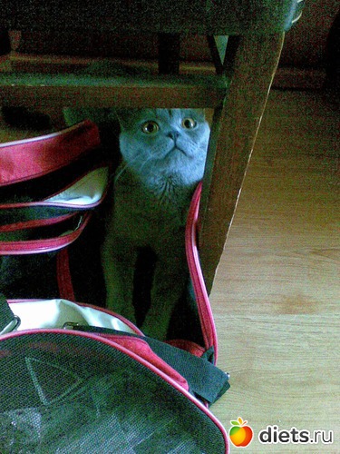 20 ����: ���������)))