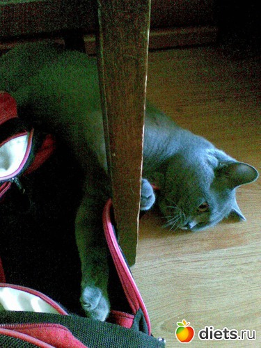 21 ����: ���������)))