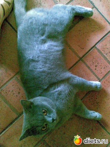 22 ����: ���������)))