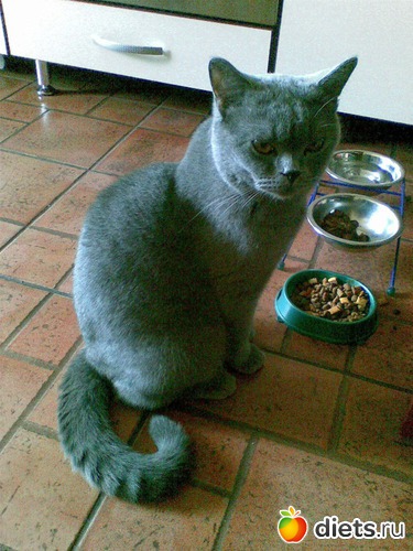 23 ����: ���������)))