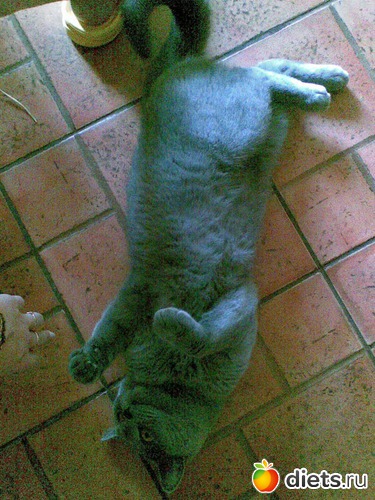 25 ����: ���������)))