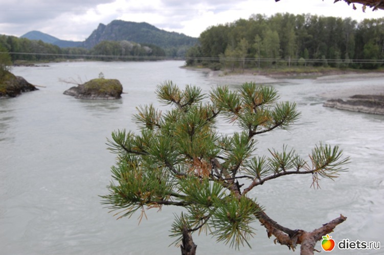 Снималось тут, альбом: Сборное