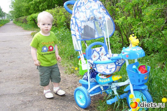 5 ����: ������