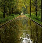 Про дождь, кроссовки и первого поклонника