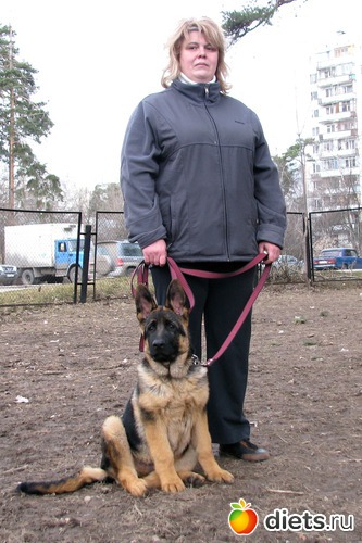 2 ����: �� ���������....