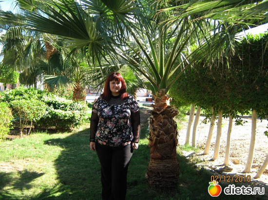 1 ����: � ��� ����� �����.....