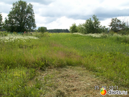 1 ����: ������� ��������!!!