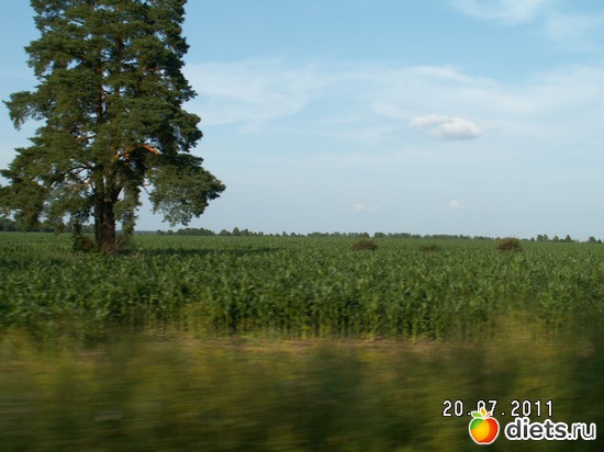 2 ����: ������� ��������!!!