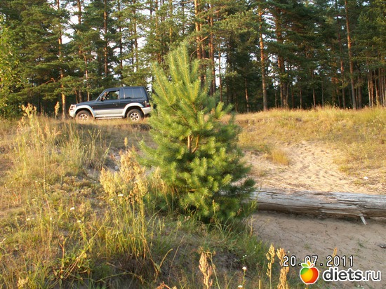 5 ����: ������� ��������!!!