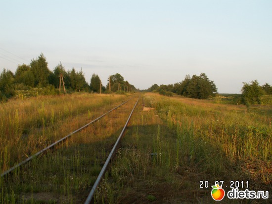 6 ����: ������� ��������!!!