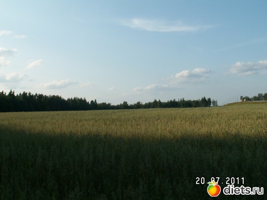 7 ����: ������� ��������!!!