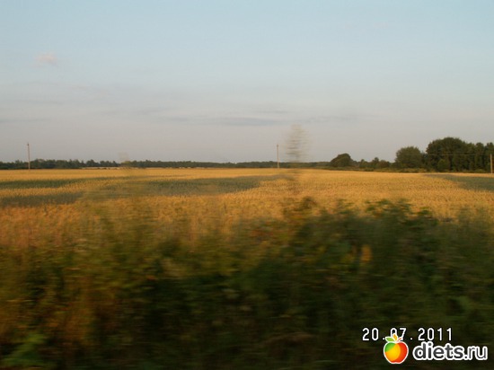 8 ����: ������� ��������!!!