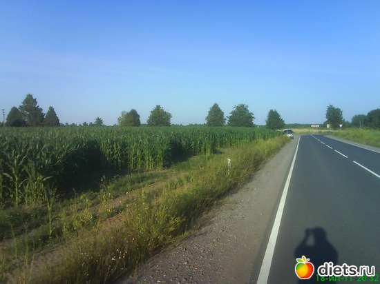 9 ����: ������� ��������!!!