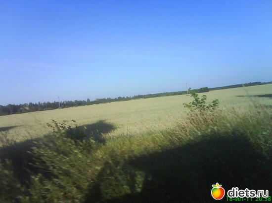 10 ����: ������� ��������!!!