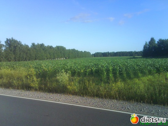 11 ����: ������� ��������!!!