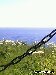 ����� �� �������