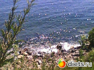 ����� �� �������