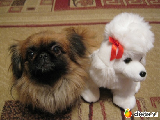 3 ����: ��� �����